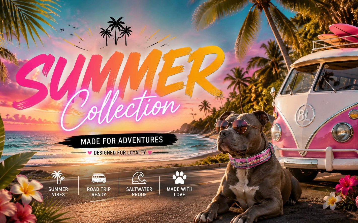 Sommer Kollektion