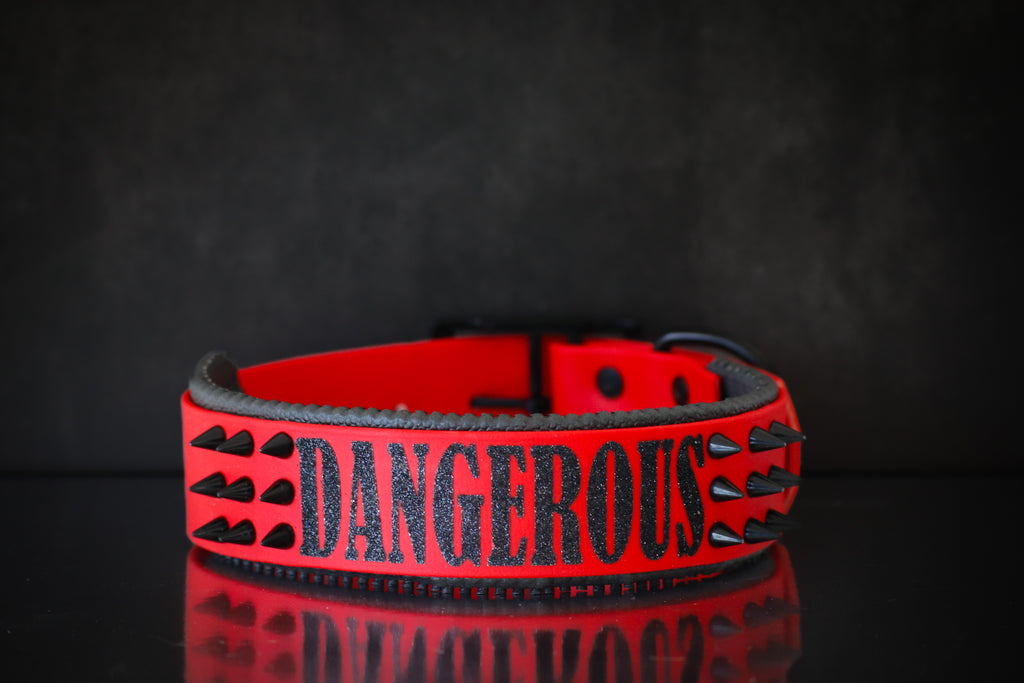 Halsband Guardian M ab 46,99€