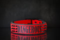 Halsband Guardian M ab 46,99€