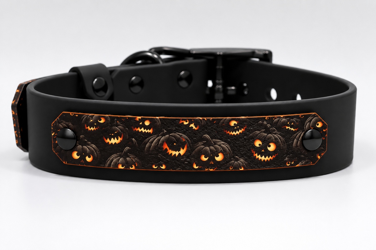 Wanna Do ab 29,99€