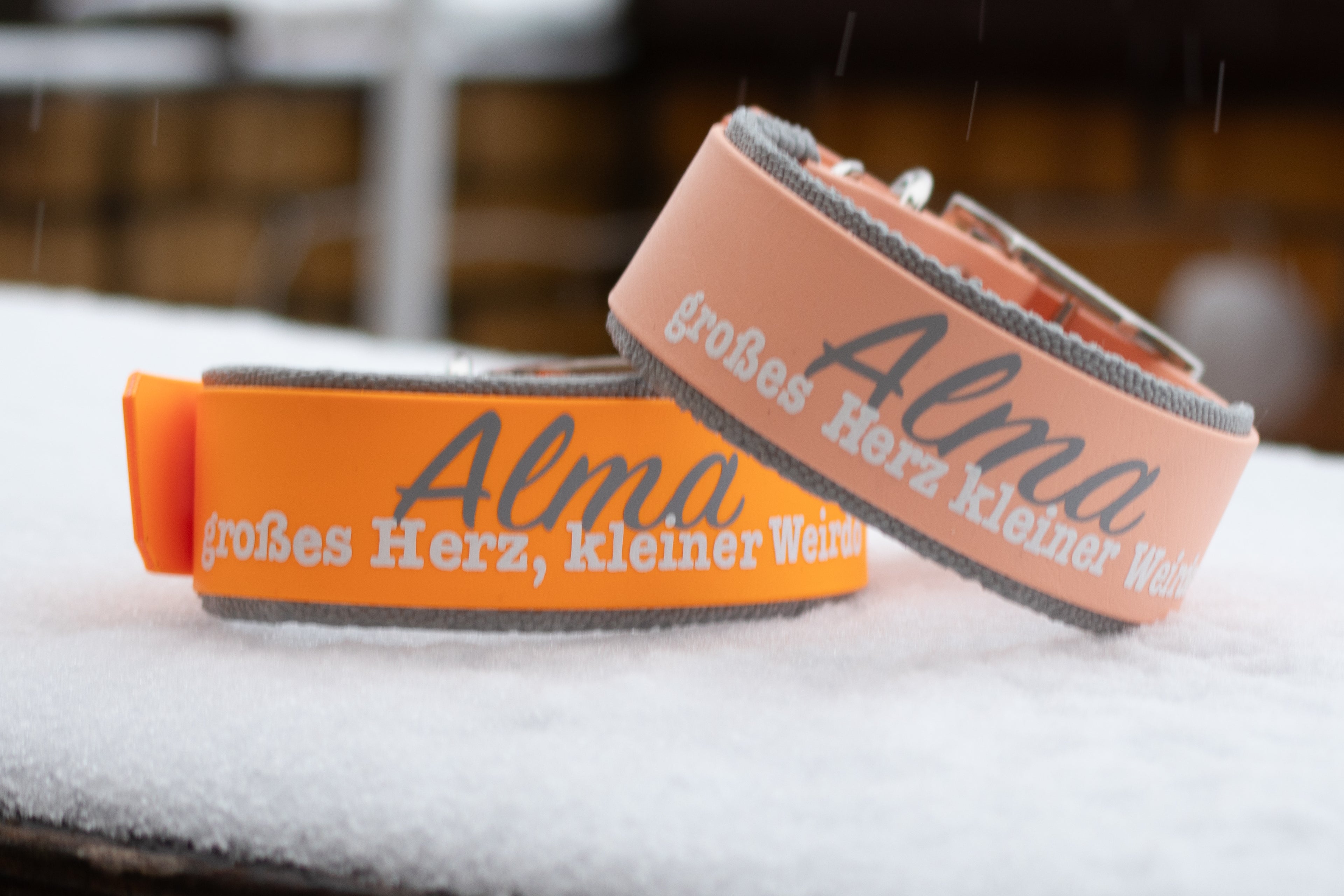 Halsband Basic XL ab 29,99€