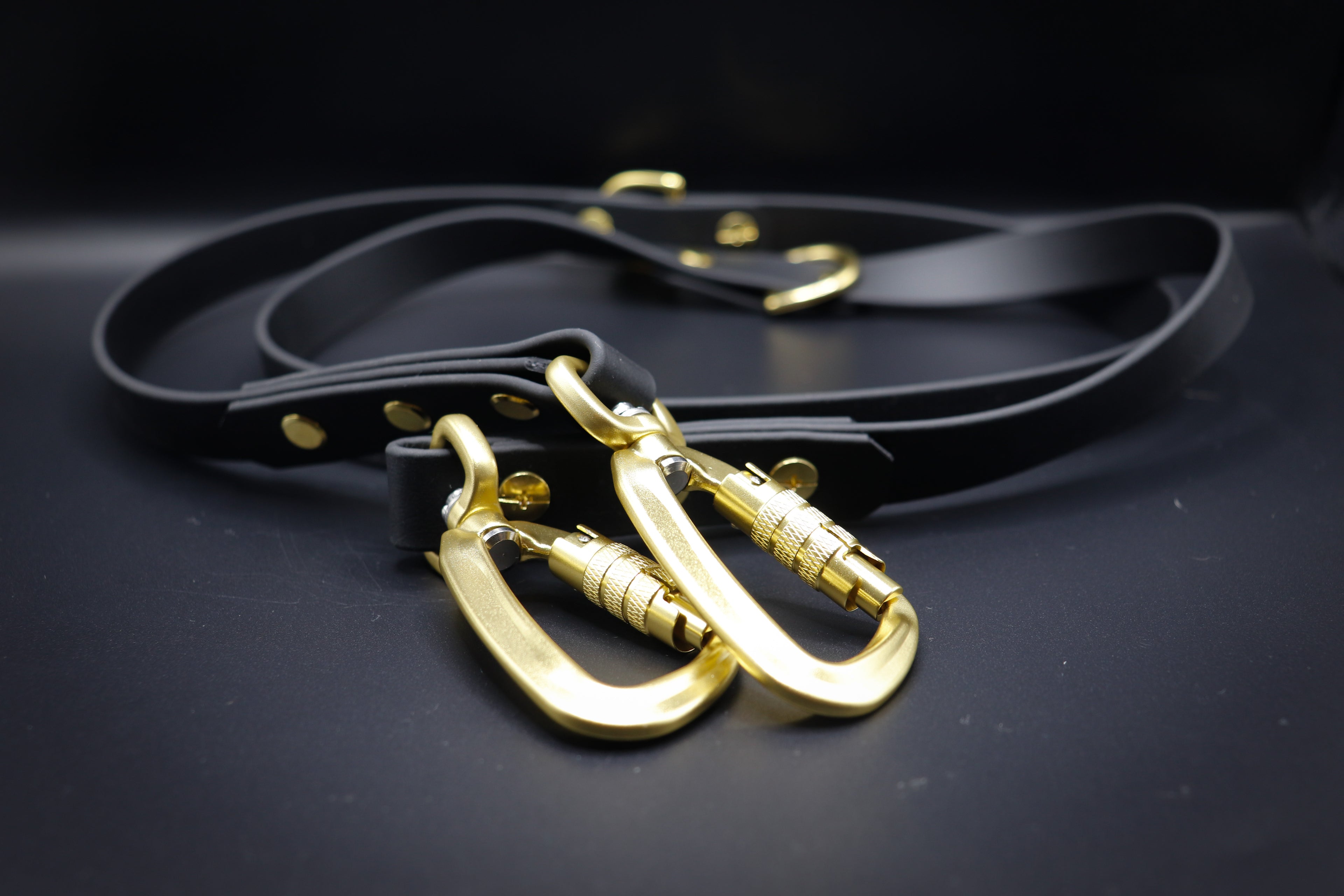 Verstellbare Leine ab 26,99€
