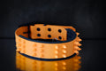 Halsband Trouble M ab 46,99€