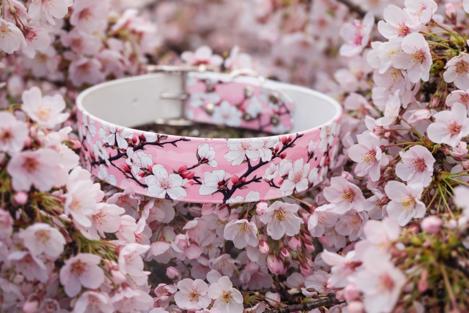 Bloom an Bark ab 25,99€