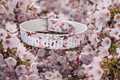 Bloom an Bark ab 25,99€