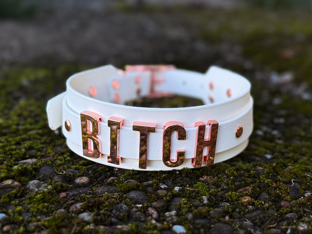 Speechless XL ab 46,99€