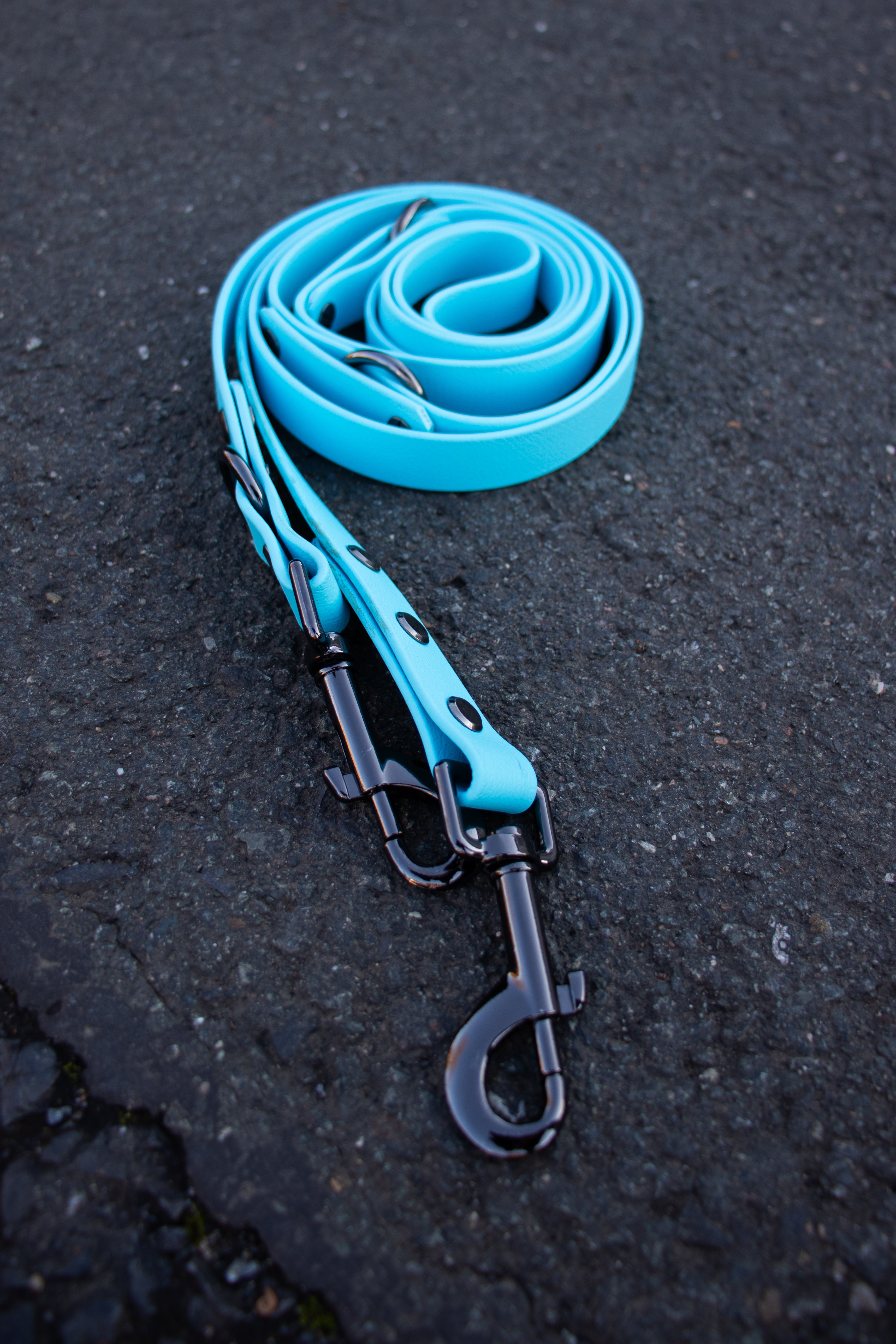 Verstellbare Leine ab 26,99€