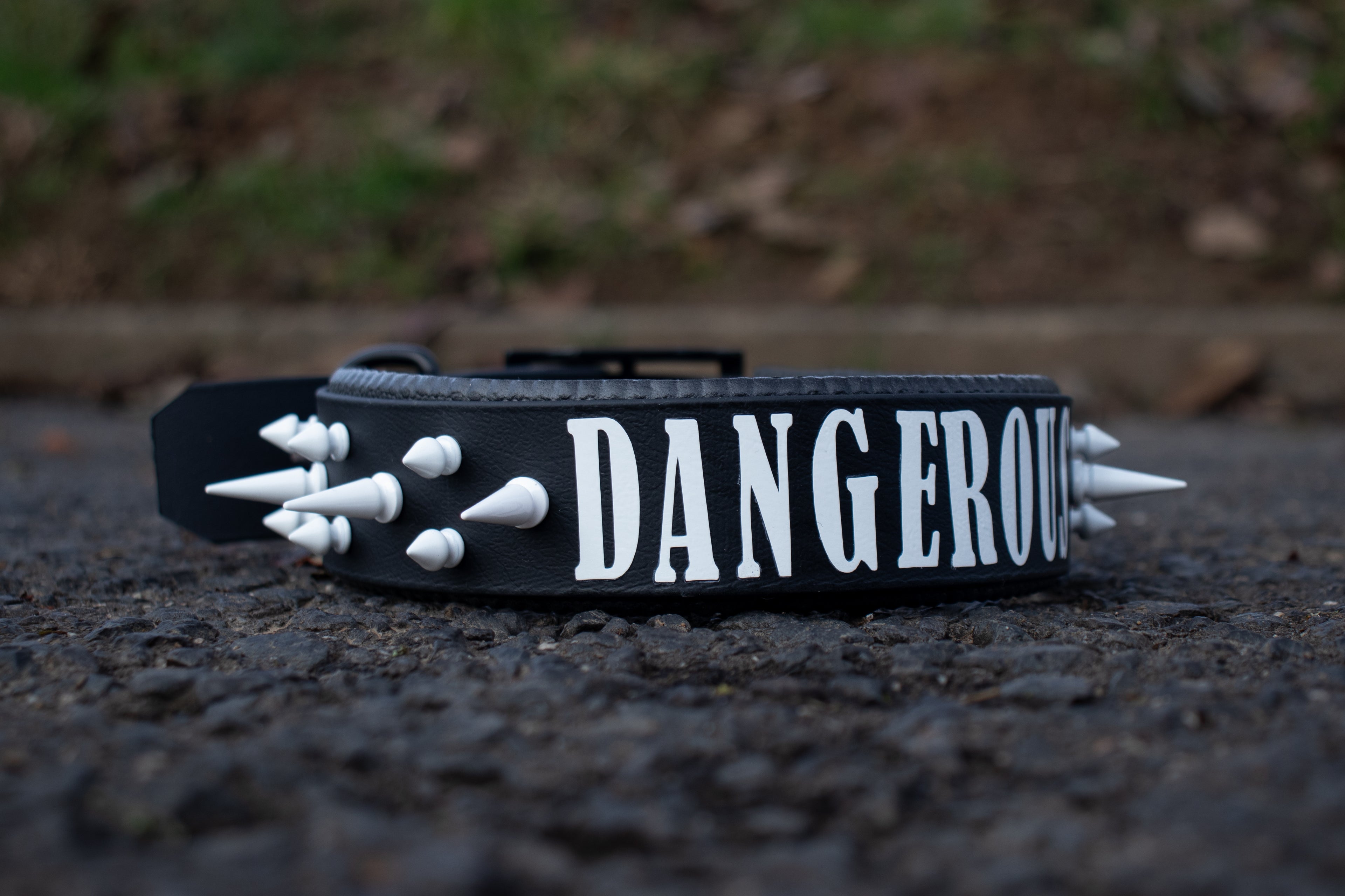 Classy Halsband ab 38,99€