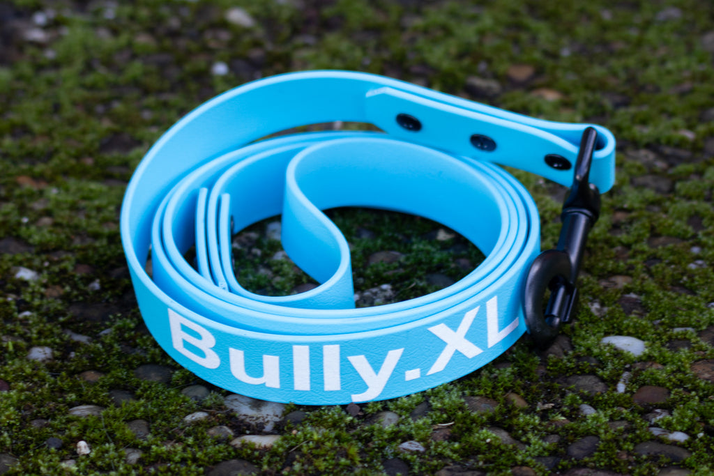 Leine mit Handschlaufe ab 19,99€