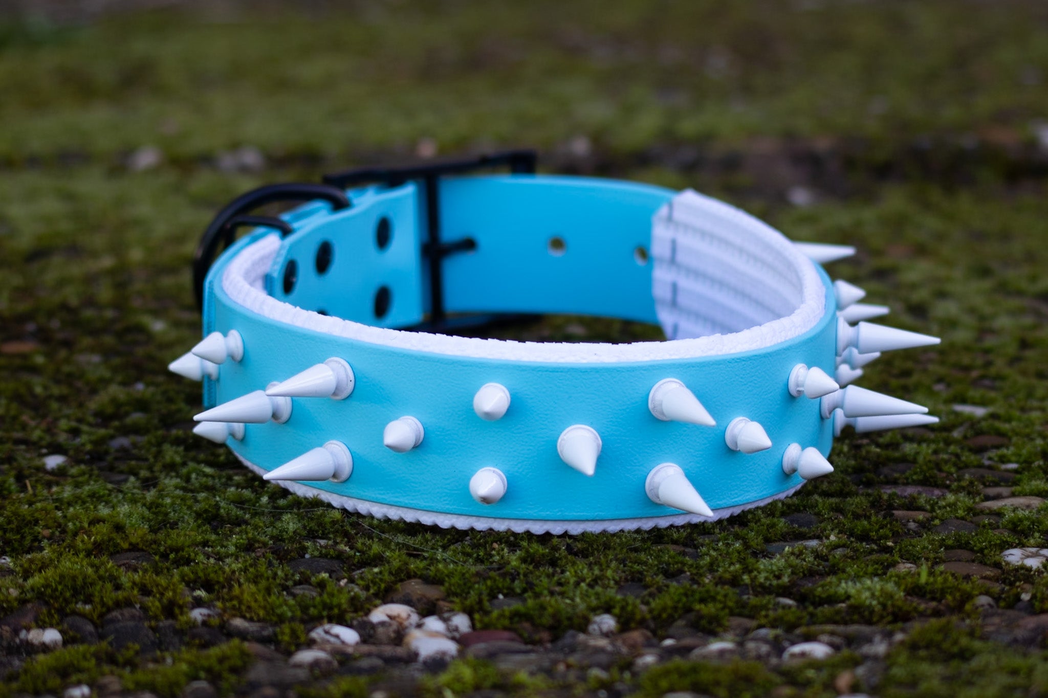 Halsband Classy M ab 42,99€