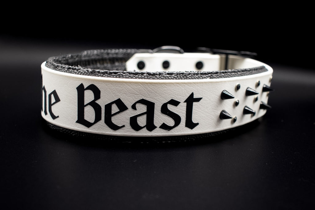 Opposite ab 34,99€