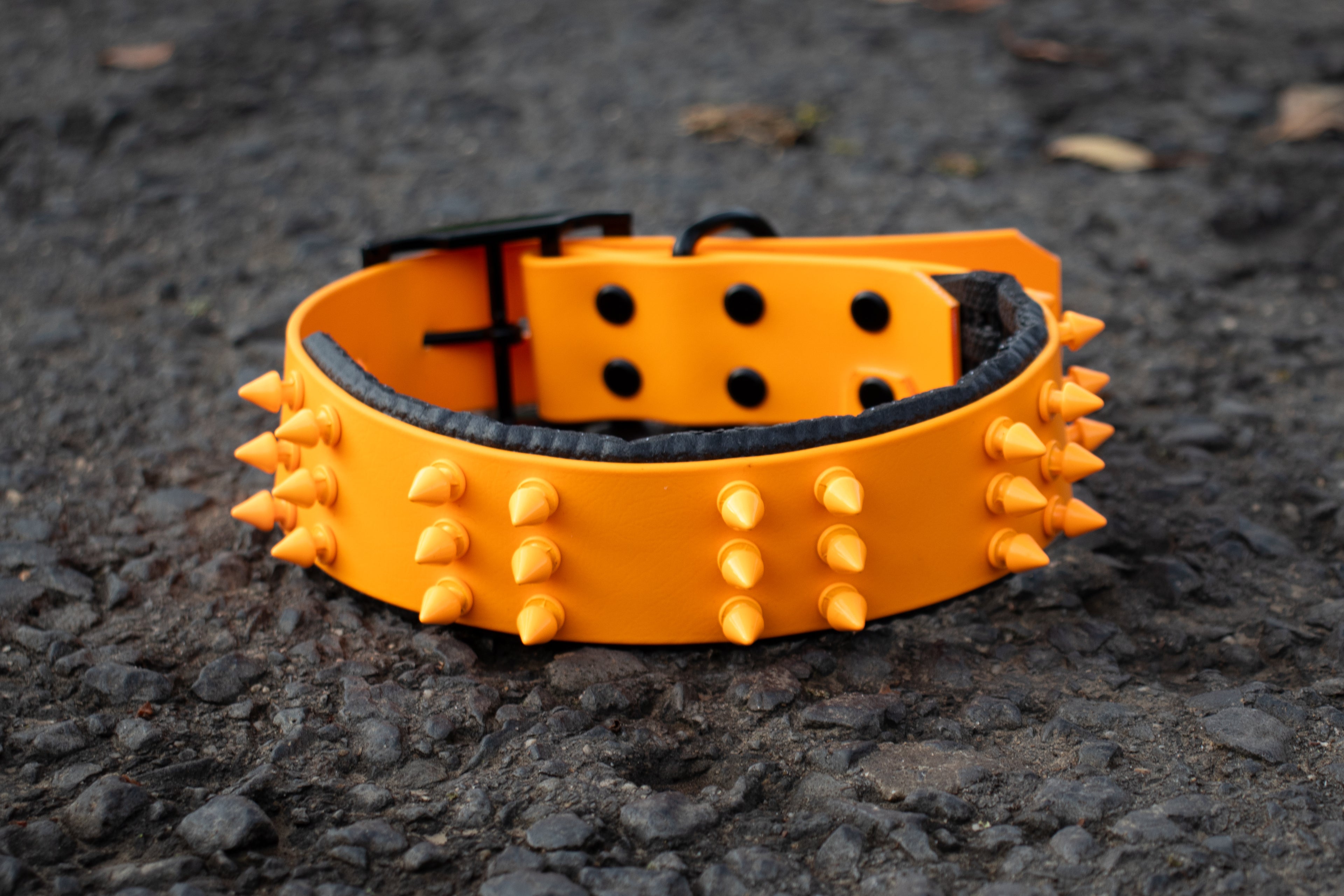 Halsband Trouble ab 44,99€